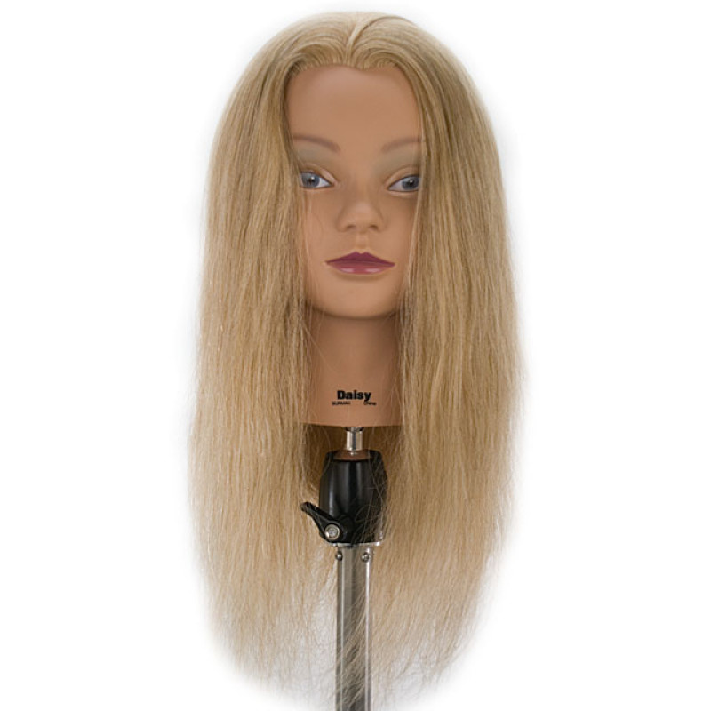 Celebrity 22 Cosmetology Mannequin Head 100% Human Hair