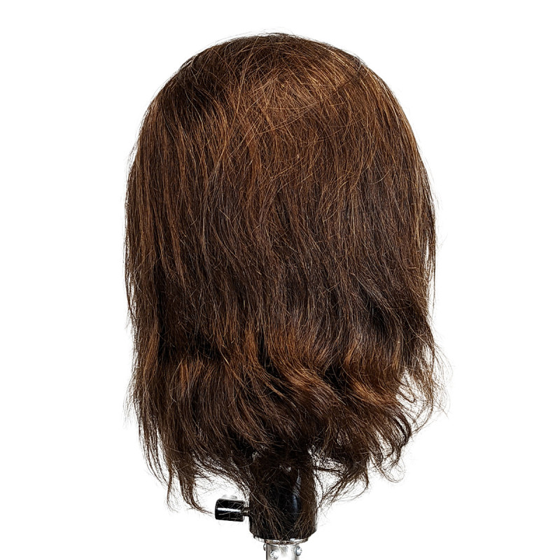 Pierre Mannequin Head Advanced Training Male Pattern Baldness Premium 100%  Human Hair